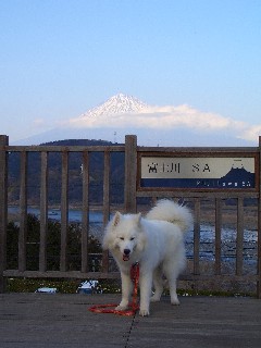 富士山をバックに