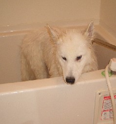 お風呂嫌い。。？