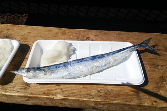 塩秋刀魚